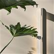 Filo Aplique de pared 